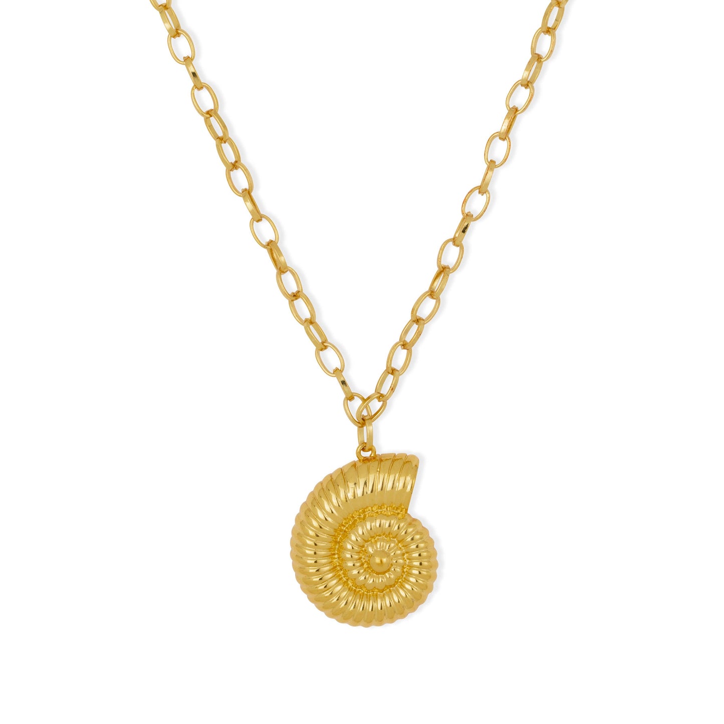 Ocean Shores Gold Shell Necklace